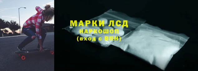 крисы Алзамай