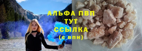 ECSTASY Инсар