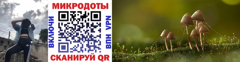 Галлюциногенные грибы Psilocybine cubensis  где купить   Чапаевск 